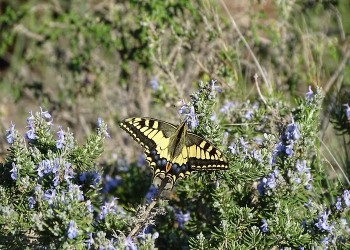 Lucky Grazioso Vista Mare Apartman Son Bou