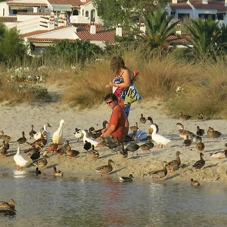 Διαμέρισμα Lucky Grazioso Vista Mare *