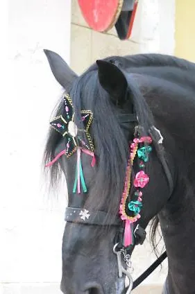 Lucky Grazioso Vista Mare