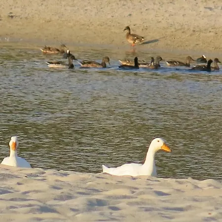 Lucky Grazioso Vista Mare Son Bou